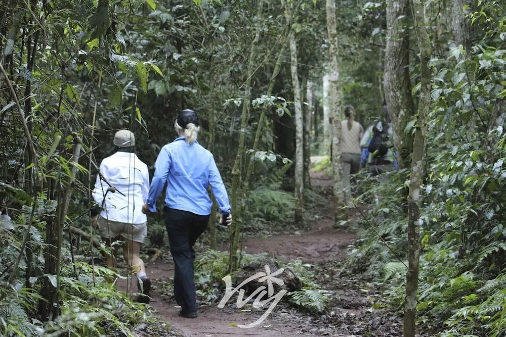 Yvy Hotel De Selva Puerto Iguazú Eksteriør billede