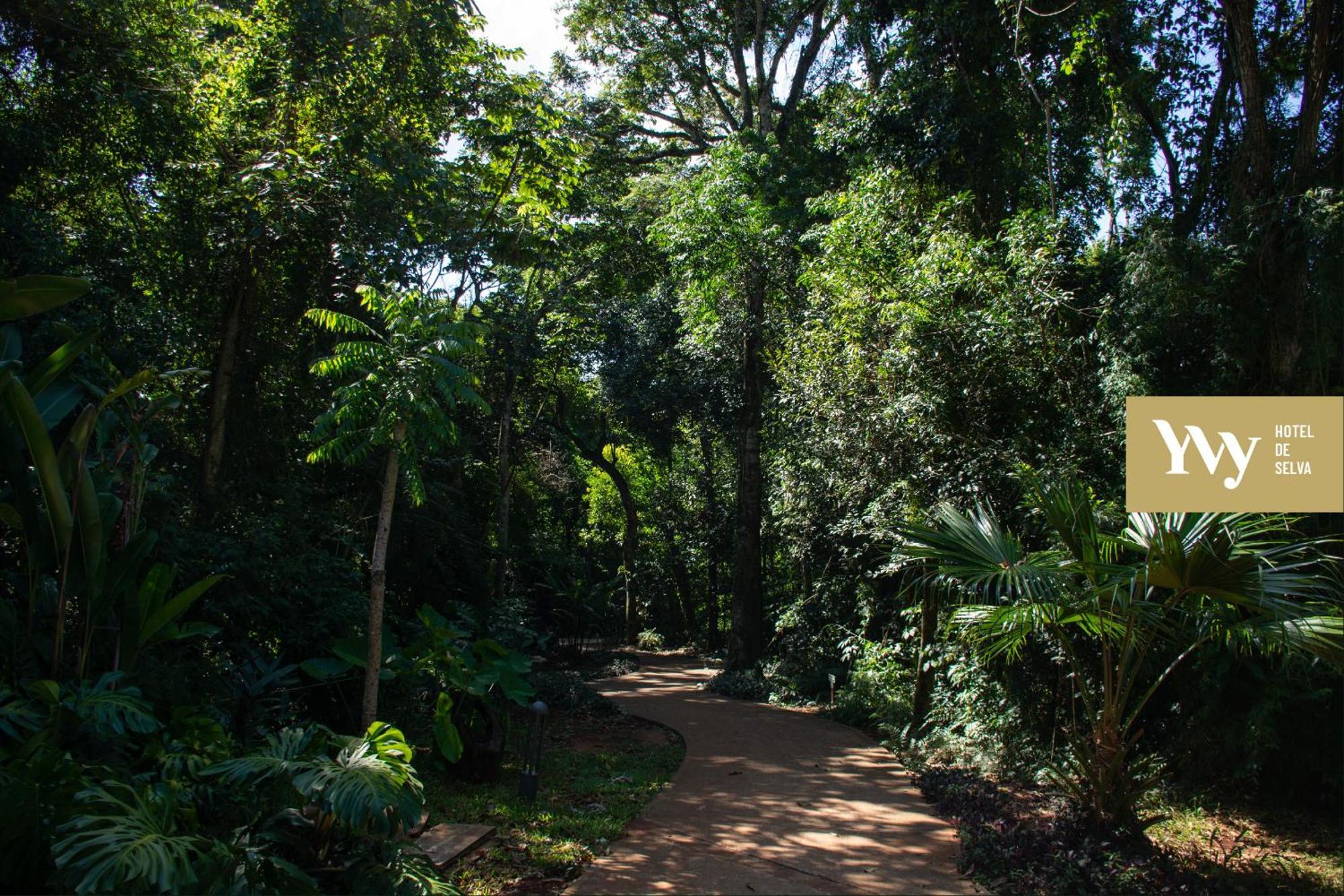 Yvy Hotel De Selva Puerto Iguazú Eksteriør billede